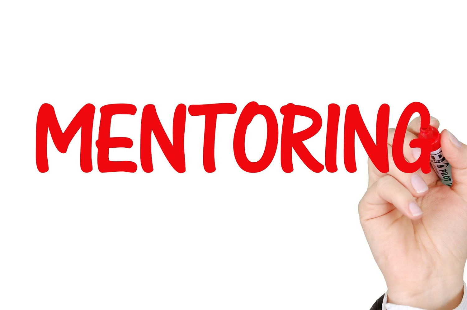 <span style="font-weight: bold;">Mentoring</span>&nbsp;