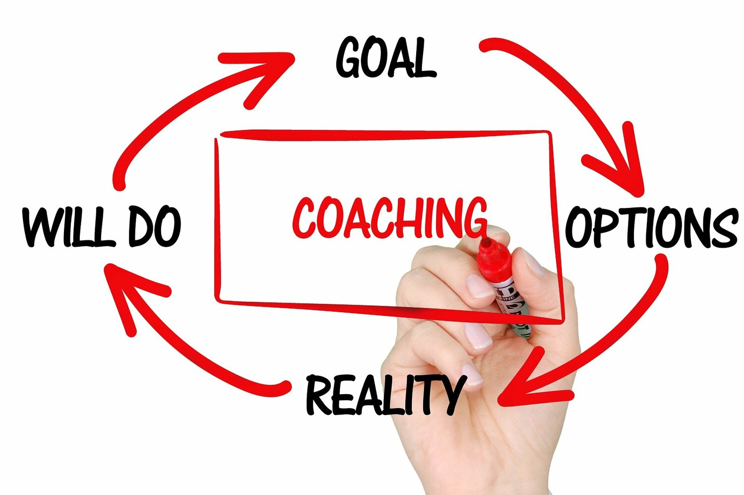 <span style="font-weight: bold;">Life Coaching</span>